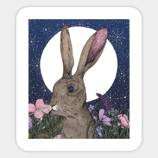 The Hare and the Moon Sticker